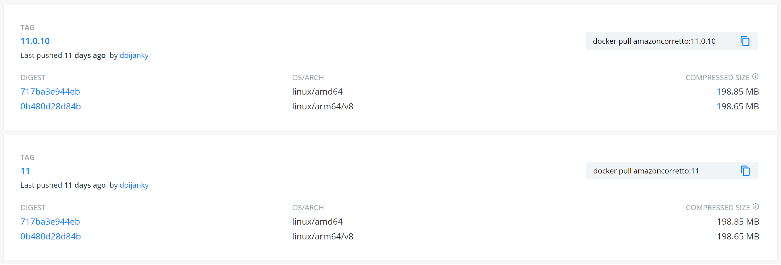 The tags 11 and 11.0.10 currently point to the same image.