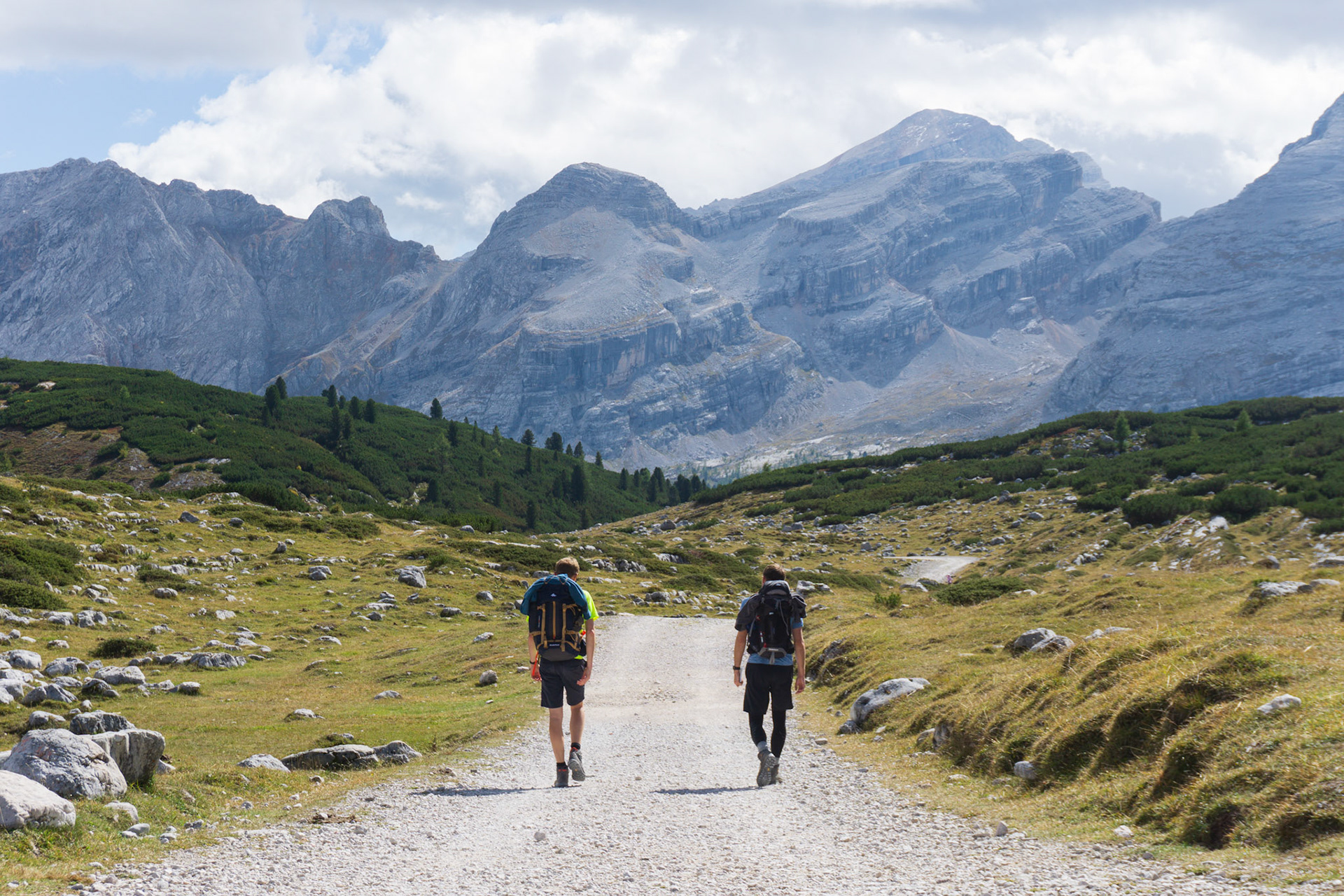 Alpine meadows with mountain backdrop