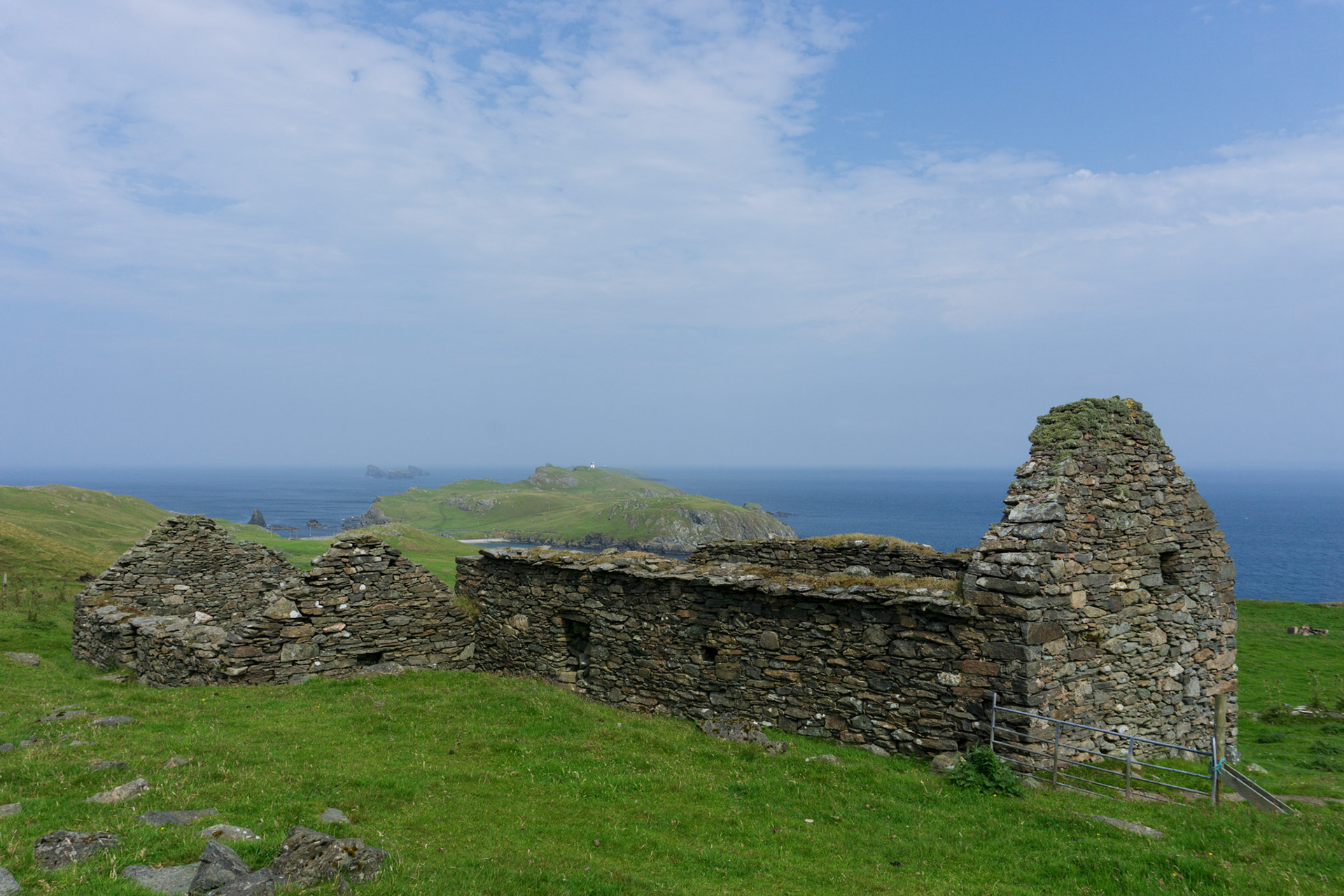 Coastal path with wildflowers