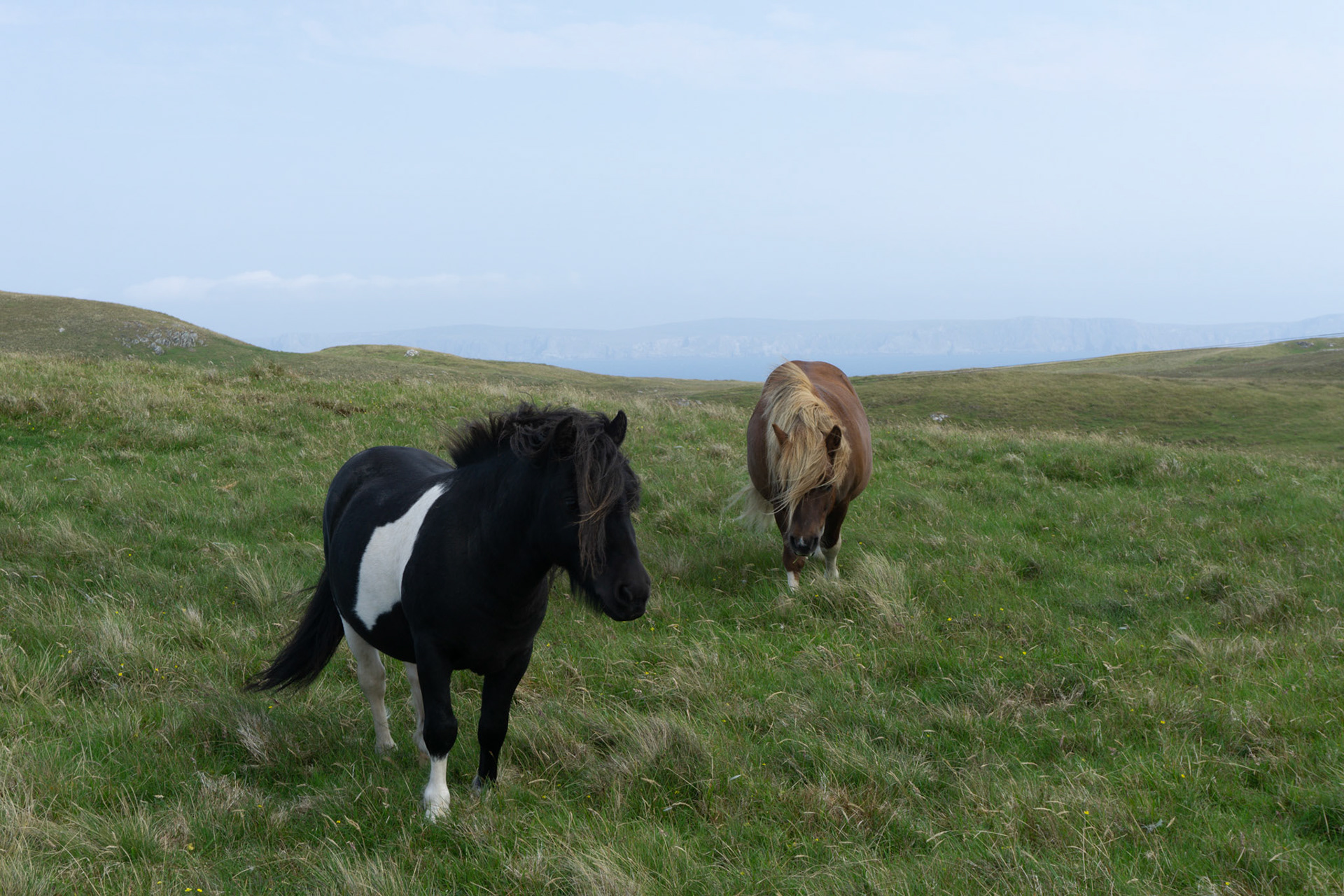 Dramatic sea cliffs and rock formations